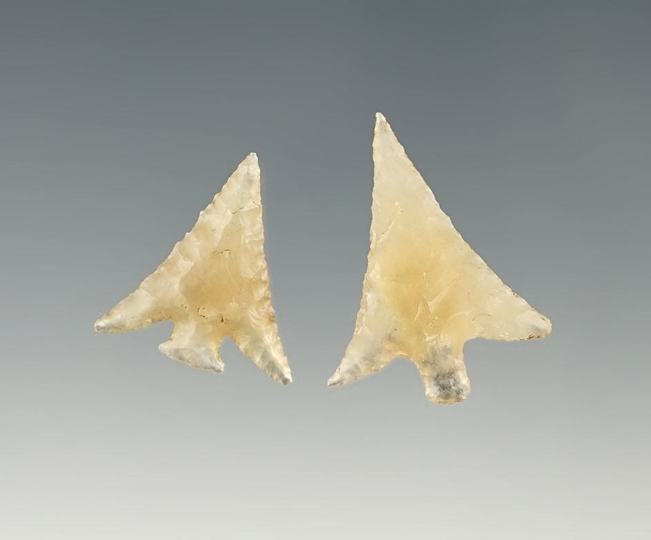 Pair of exceptional Columbia River Gem Points including a Columbia Plateau and a Wallula.