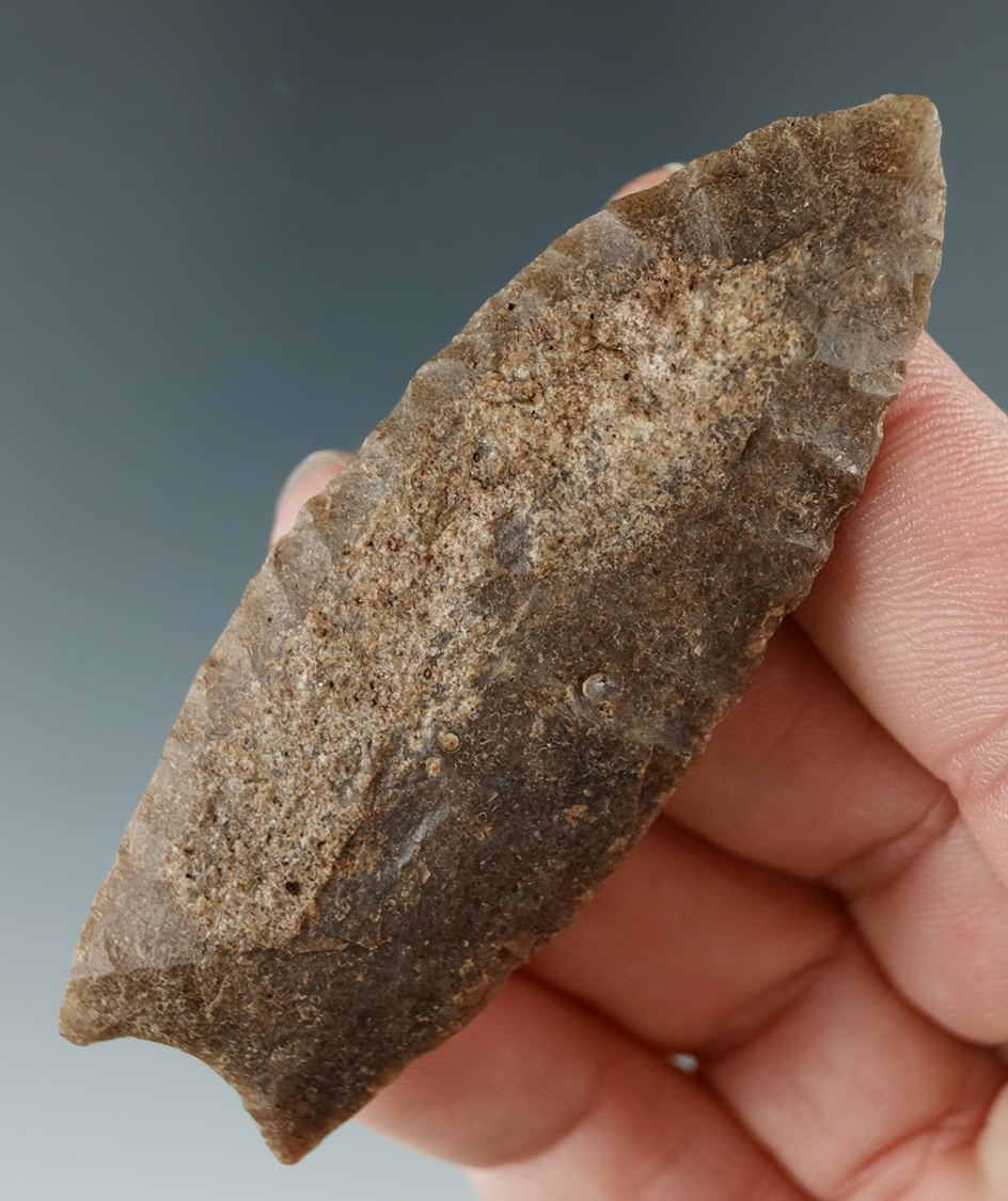 Rare!2 13/16" Paleo Black Rock Concave - Owyhee desert in Idaho. Stermer COA.