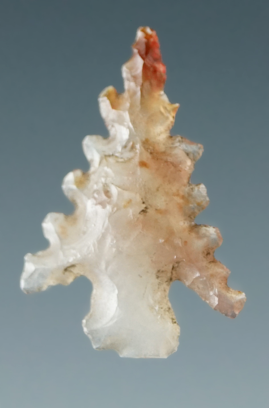 Nice! 3/4" Nez Perce arrowheads found in a shelter near Pine Creek in Lewis Co., Idaho. COA.