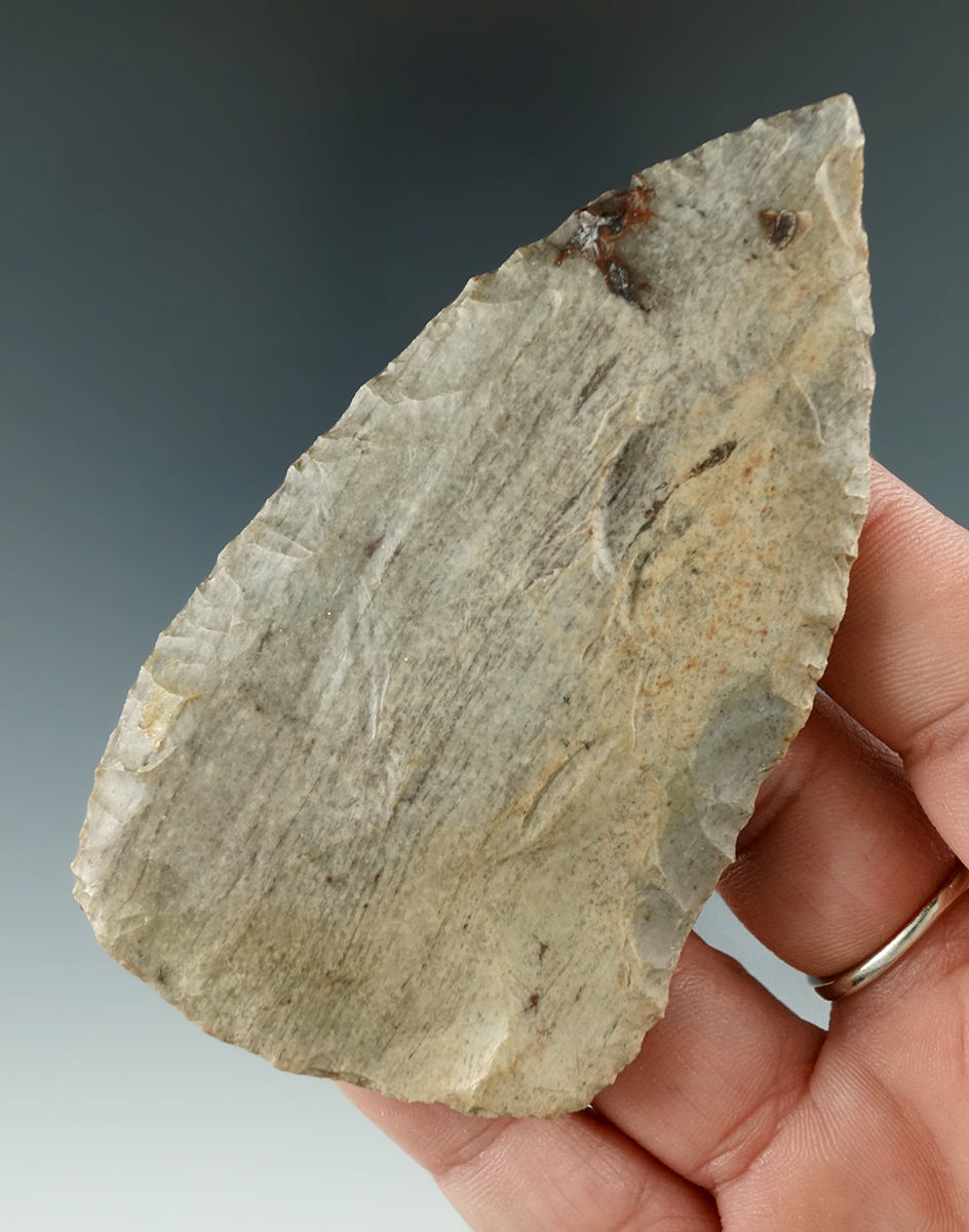 Thin for size! 3 9/16" beveled Archaic Blade found in Michigan.