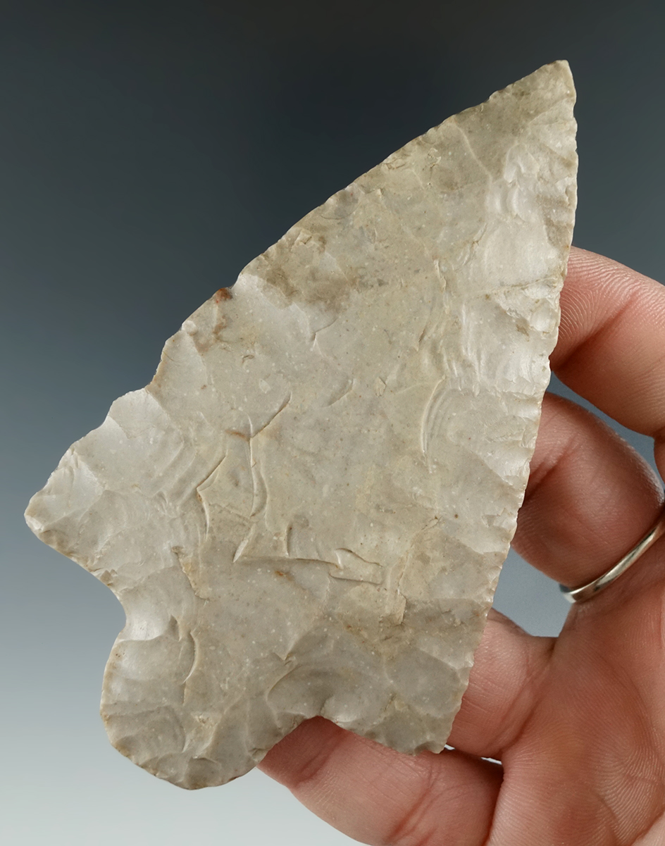 Large and nice! 3 13/16" wide base Knife found in Arkansas. Comes with a Davis COA.