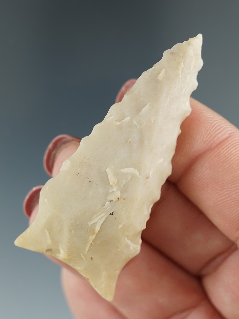 Ex. Perino! 2 3/16" Dalton point made from attractive Novaculite found in Hempstead Co.,Arkansas.