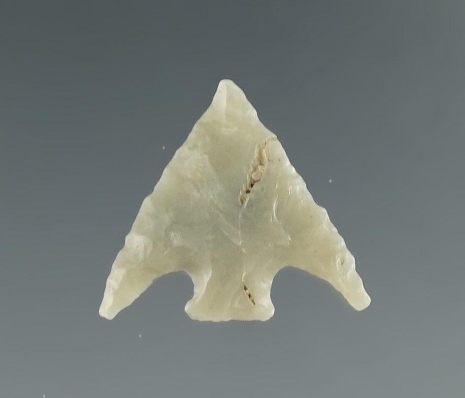 Ex. Museum! Thin and very well flaked 5/8" Gunter - green Franciscan chert found in N. California.