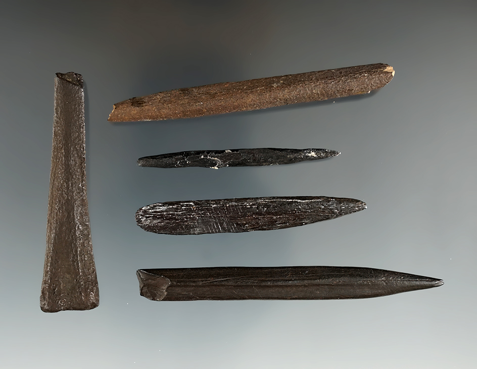 Set of five river polished bone artifacts found in Florida, largest is 3 1/16".