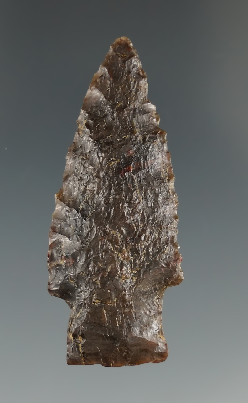 1 13/16" Scottsbluff made from Agatized wood found in Colorado.  Bennett COA.