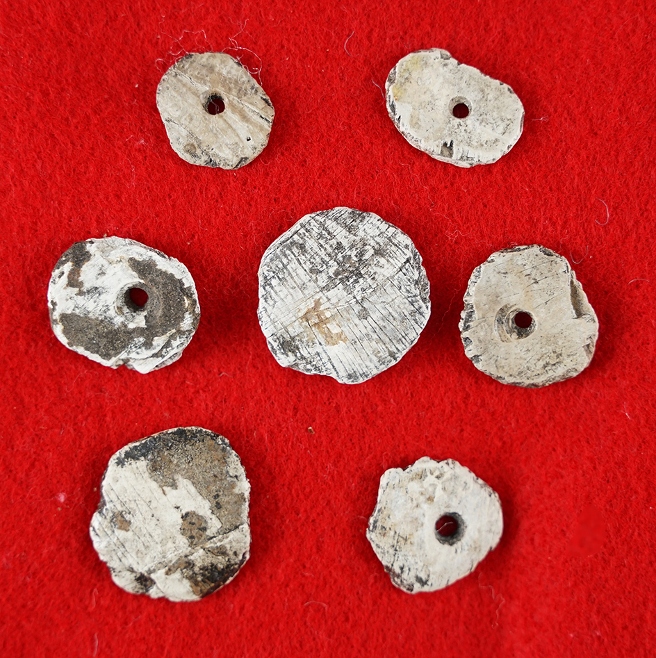 Set of five drilled shell disc ornaments and two undrilled.  All found at a site in Pinellis Co.,Flo