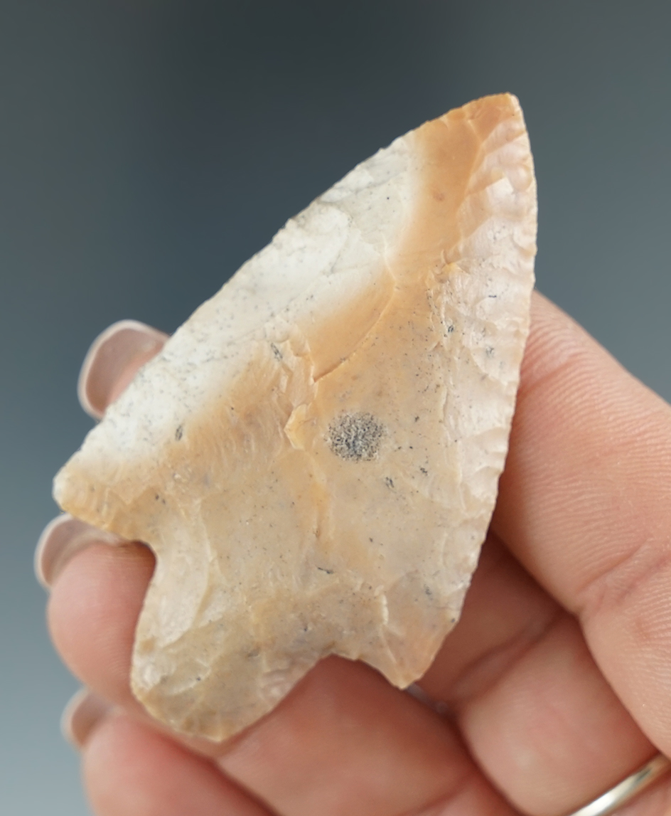 Nicely crafted 2 3/8" Marion point made from beautiful material found in Florida.