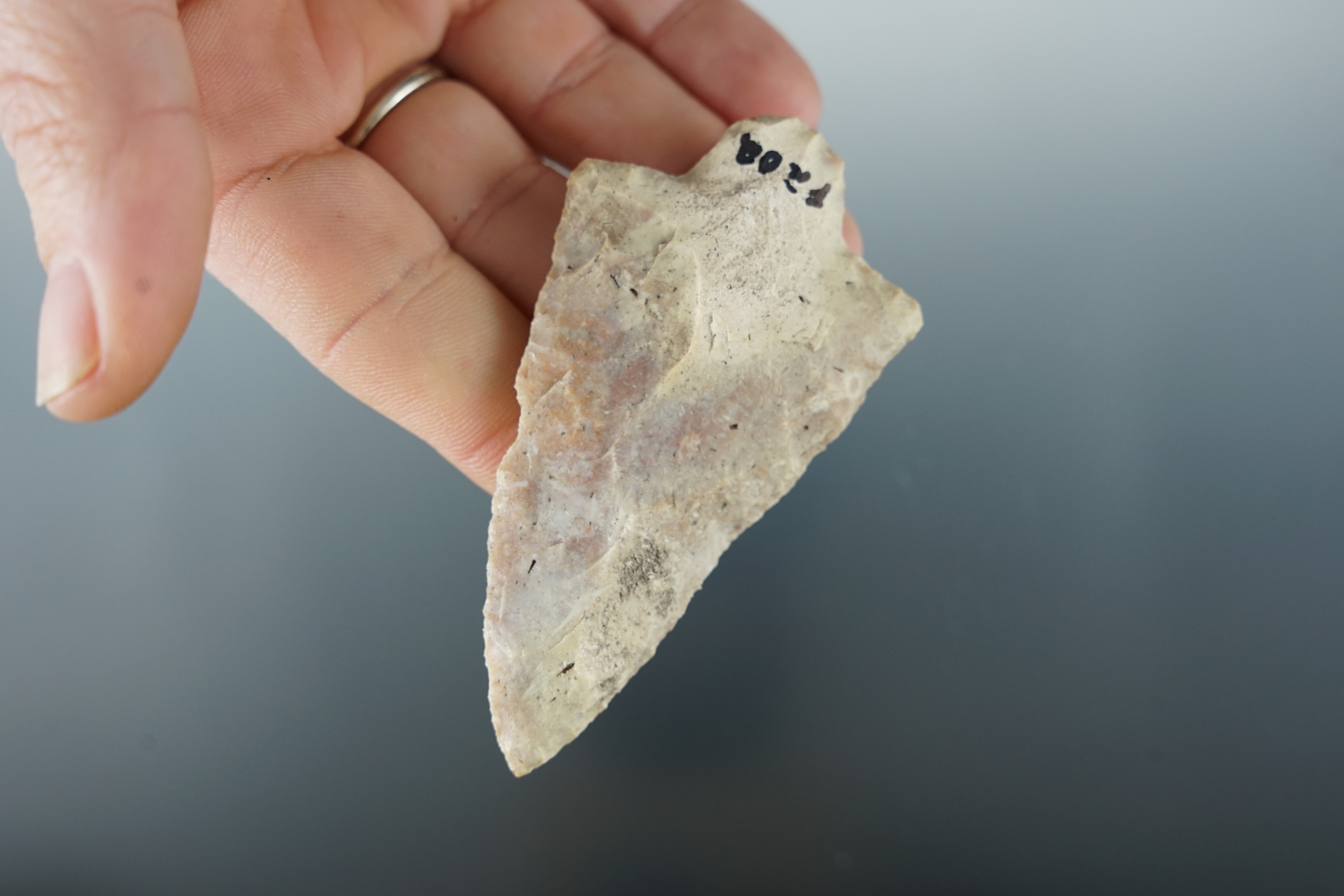 3" Marion point found in Florida.