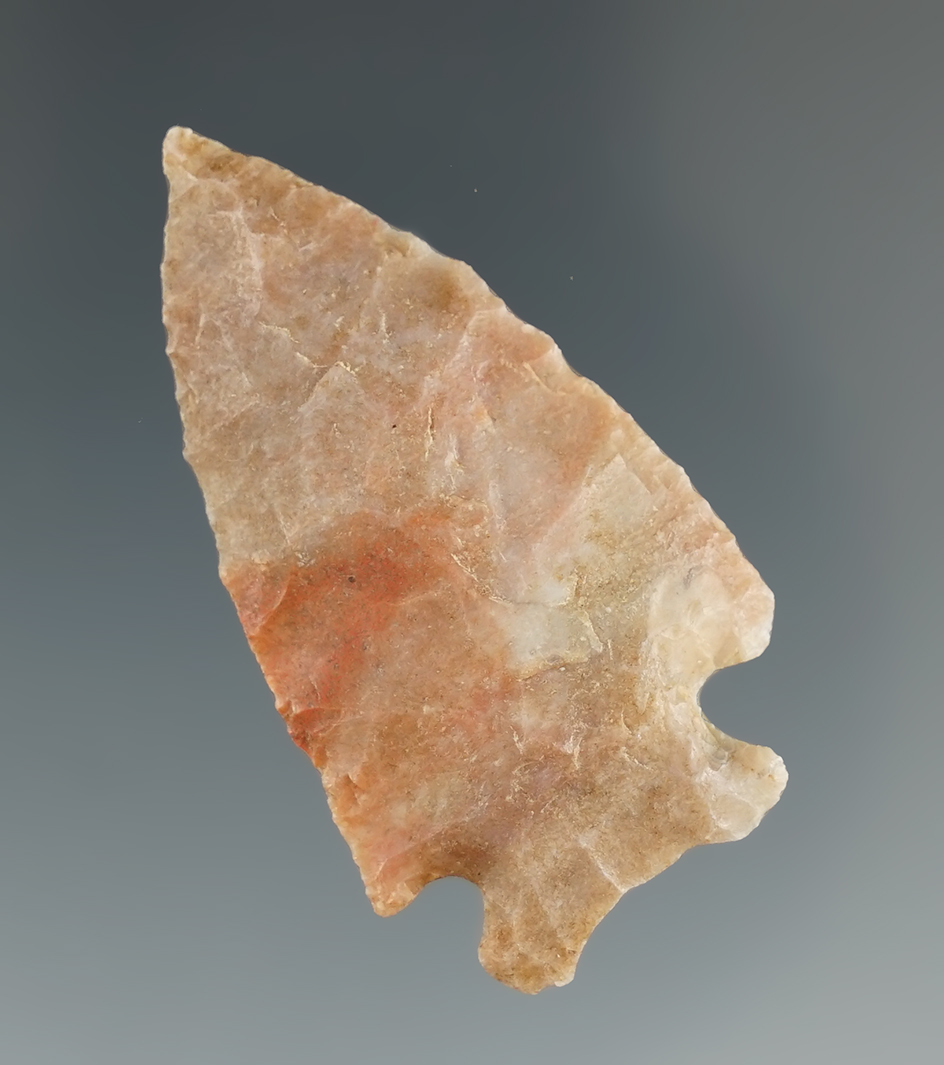 1 3/4" Cornernotch point made from beautiful material found in Florida.