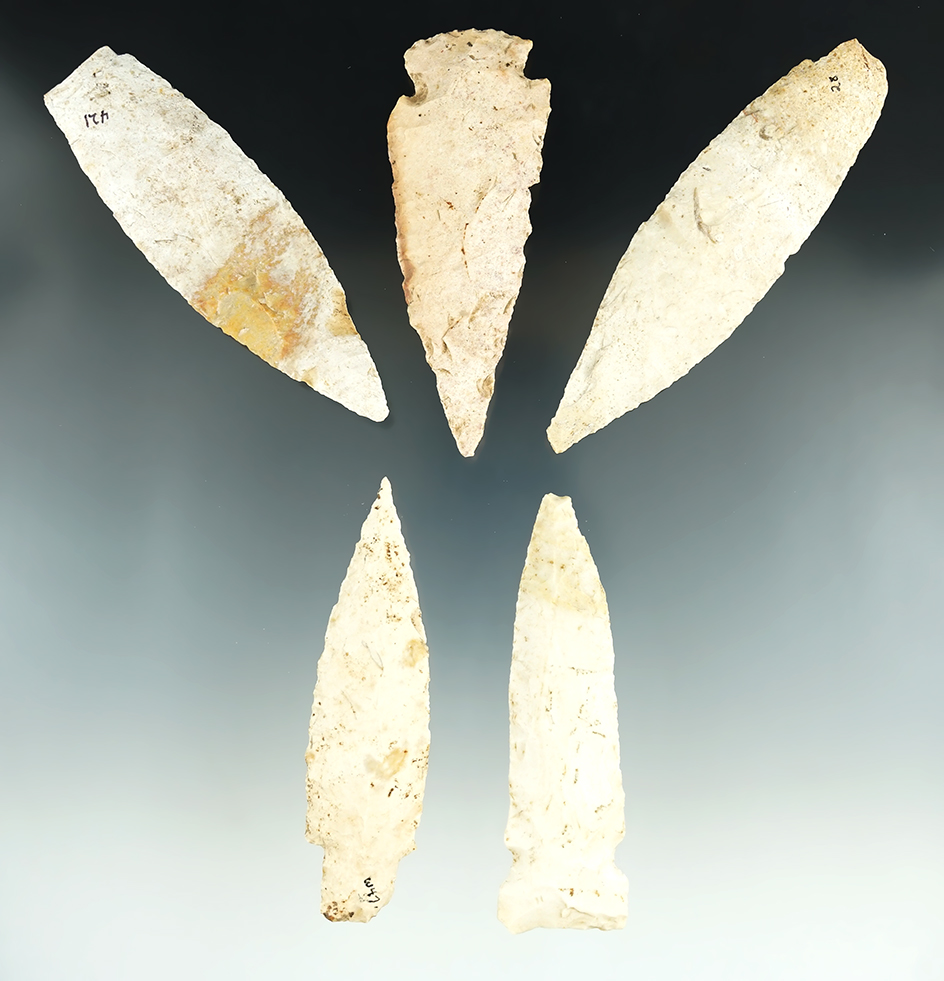 Group of five Missouri Lanceolates, largest is 4 11/16".