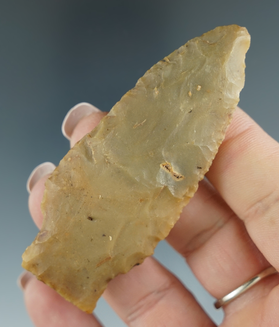 3" Savannah River Knife found in Florida.