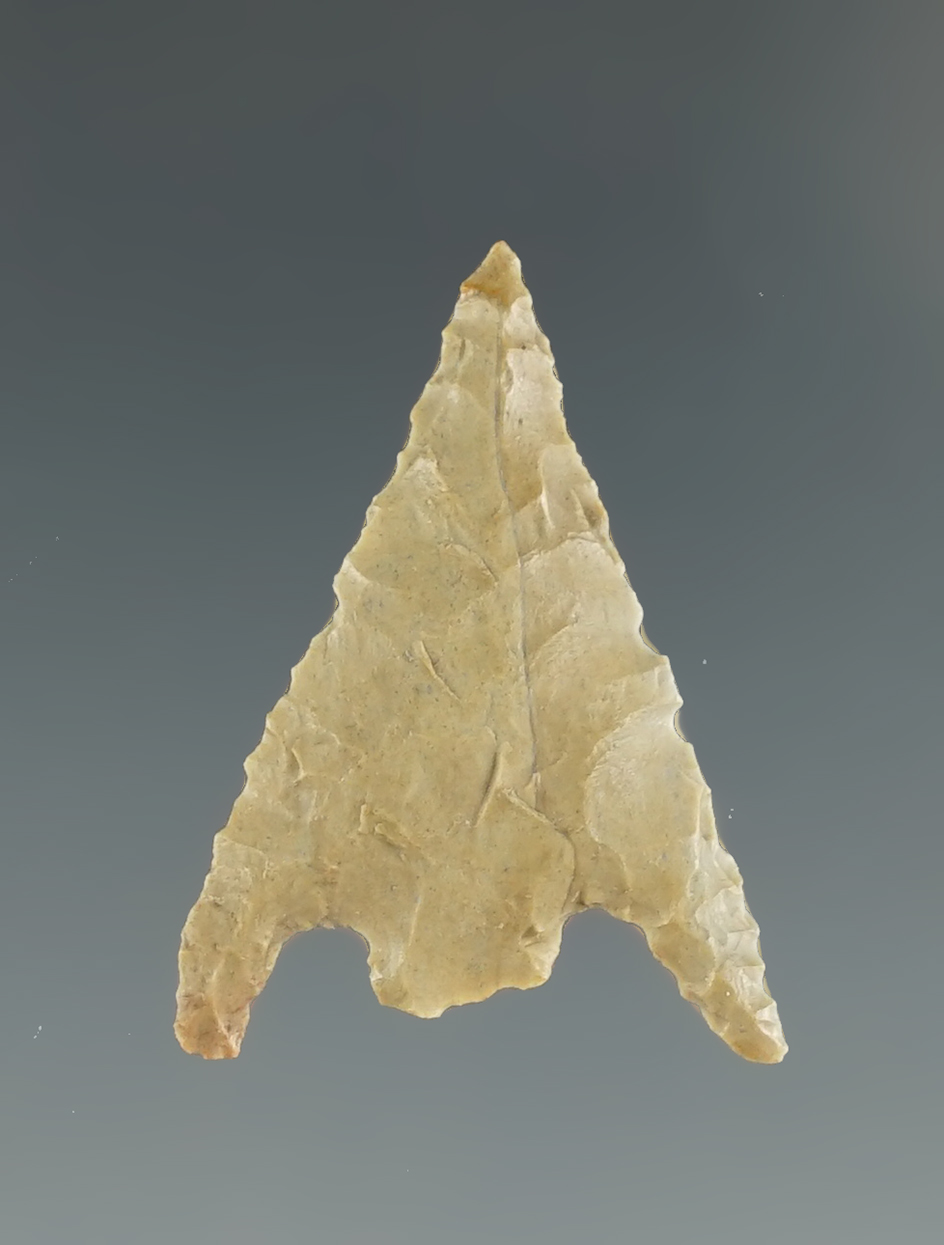 Ex. Museum! 1 1/16" Gunther made from Franciscan chert found in Northern California.