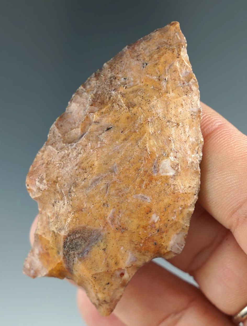 2 5/8" Savannah River Knife made from attractive material found in Florida.