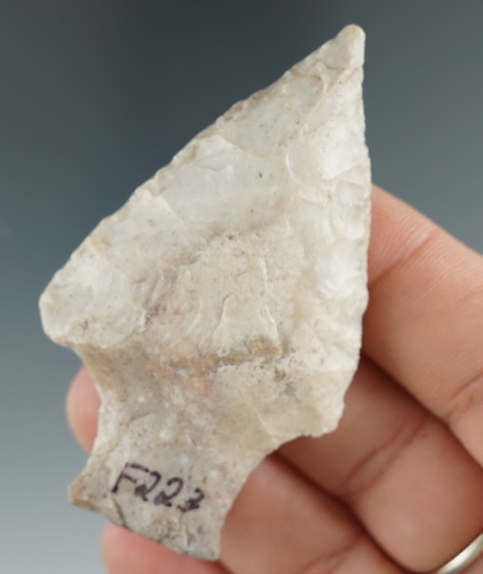 2 9/16" stemmed Knife found in Florida.