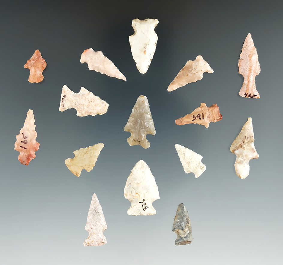 Group of 15 Missouri bird points, largest is 1 1/16".