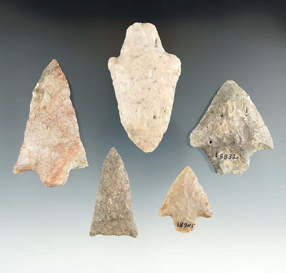 Set of five assorted Florida points, largest is 2 3/4".