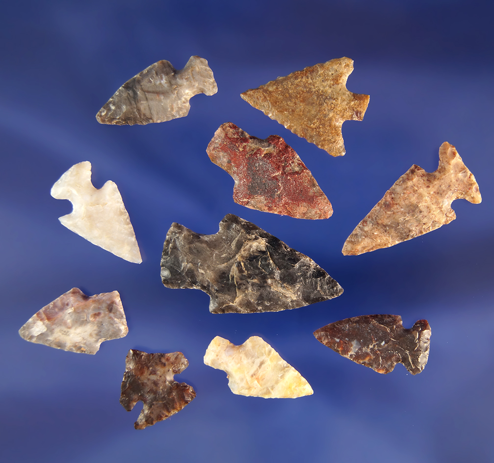 Set of 10 bird points found in Colorado, largest is 1".