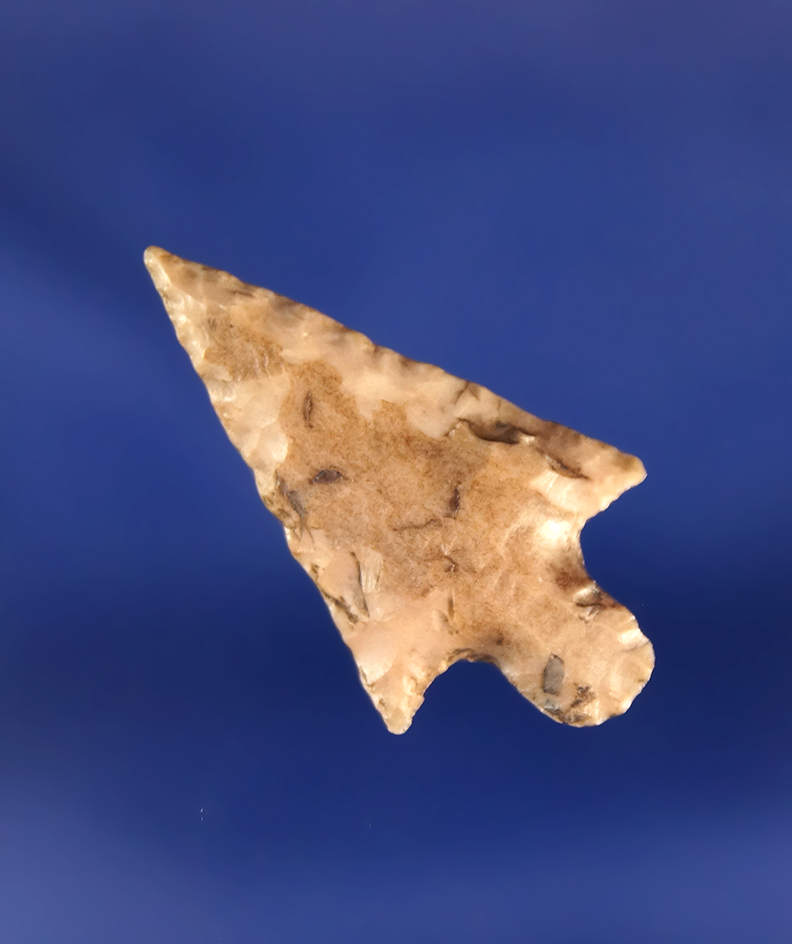 1 1/8" Rabbit Island Arrow found near the Columbia River, Washington.