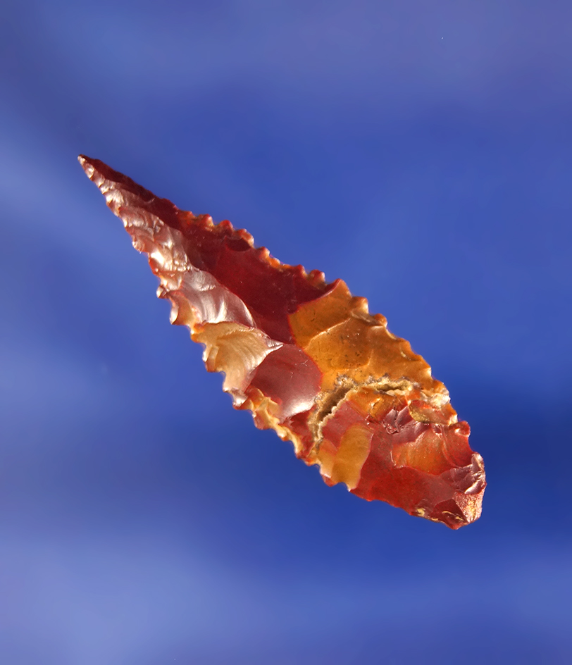 Heavily serrated 1 9/16" Jasper Leaf Point found near the Columbia River, Washington.