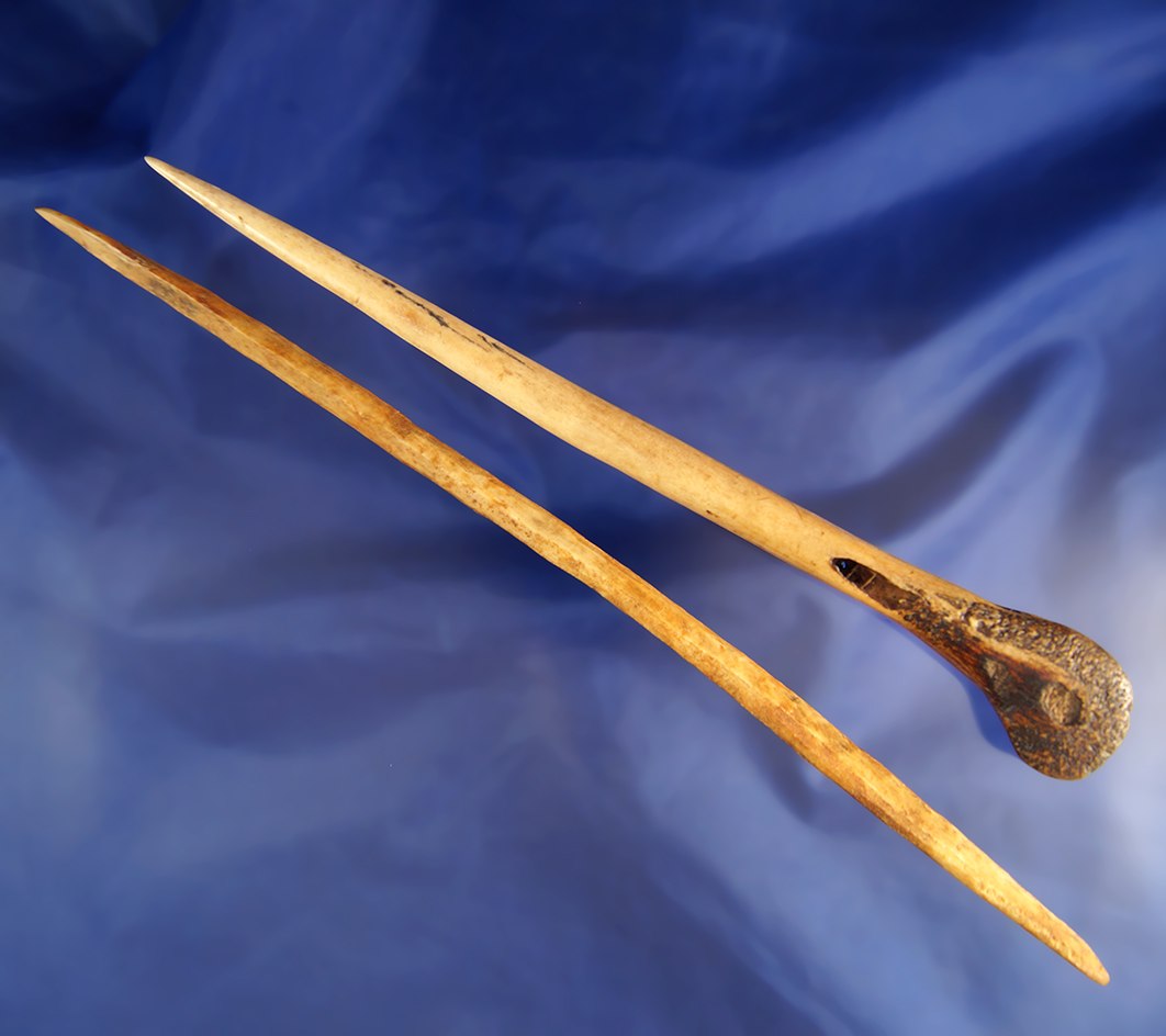 Large pair of bone awl's, largest is 11 1/4". Found in the Dakotas.