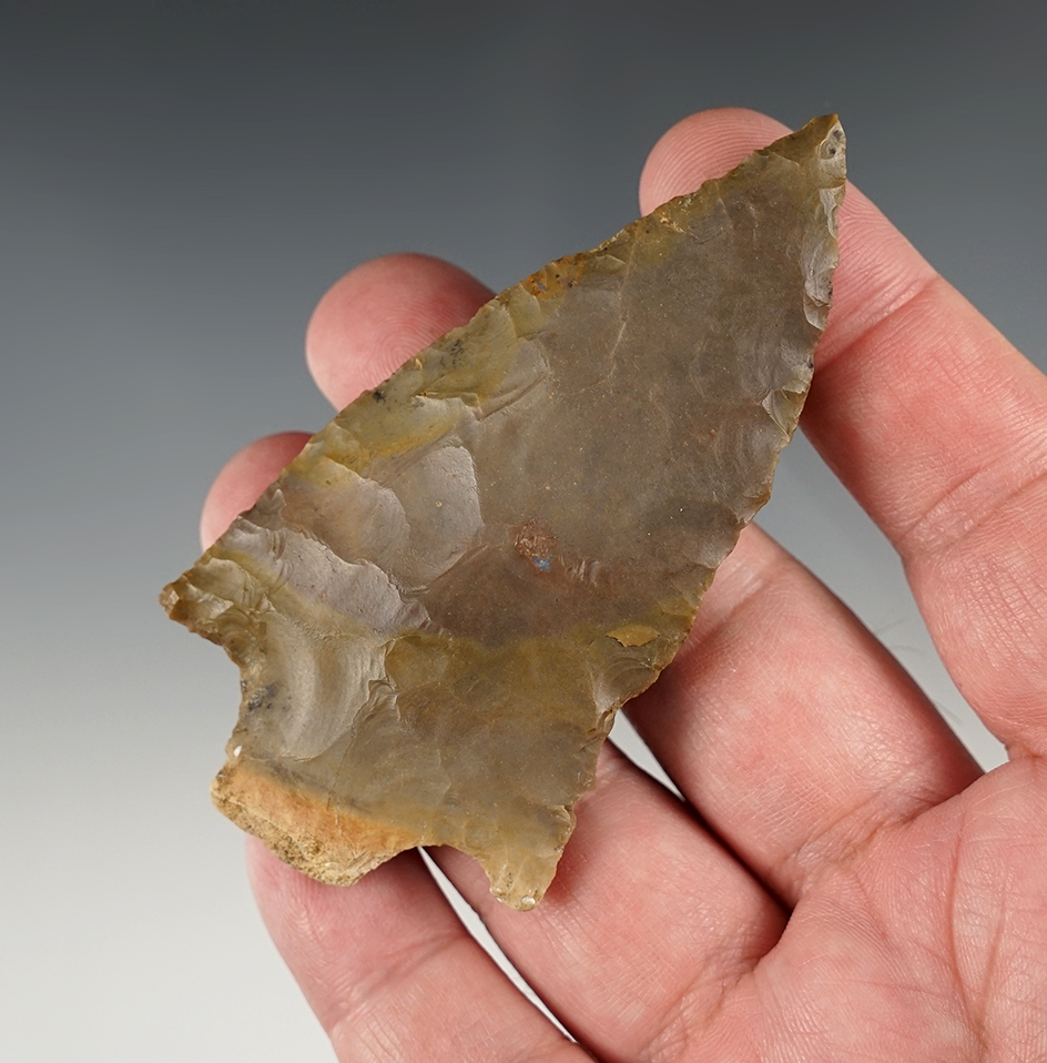 3 1/2" Pickwick - Lauderdale Co., Alabama.