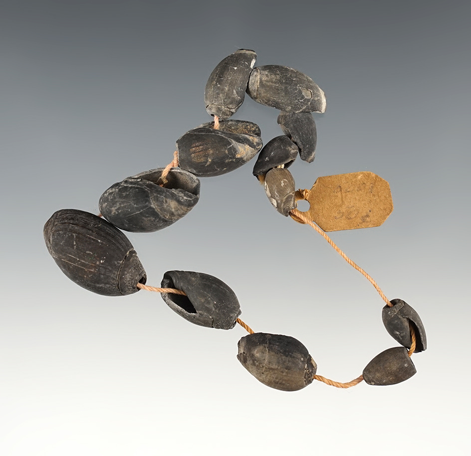 6 1/2" strand of old Shell Beads found in Kentucky.