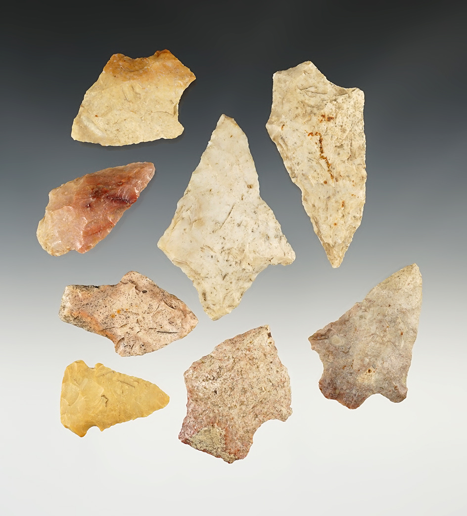 Set of 8 South Carolina points. Largest is 2 11/16".