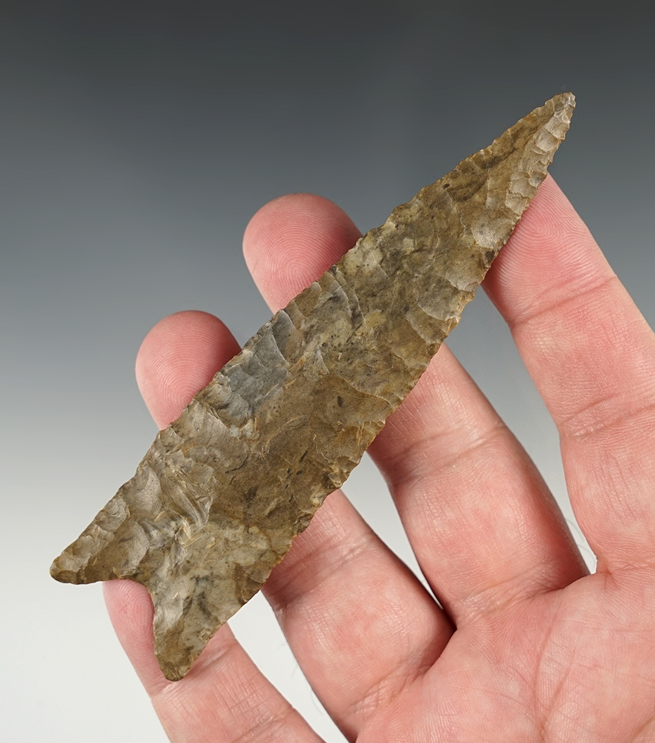 Large Classic Style 4 7/16" Missouri Dalton.