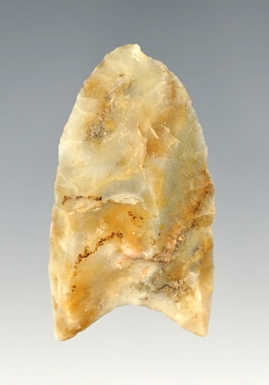 Colorful 1 1/2" Plainview - Arkansas. Butler COA.