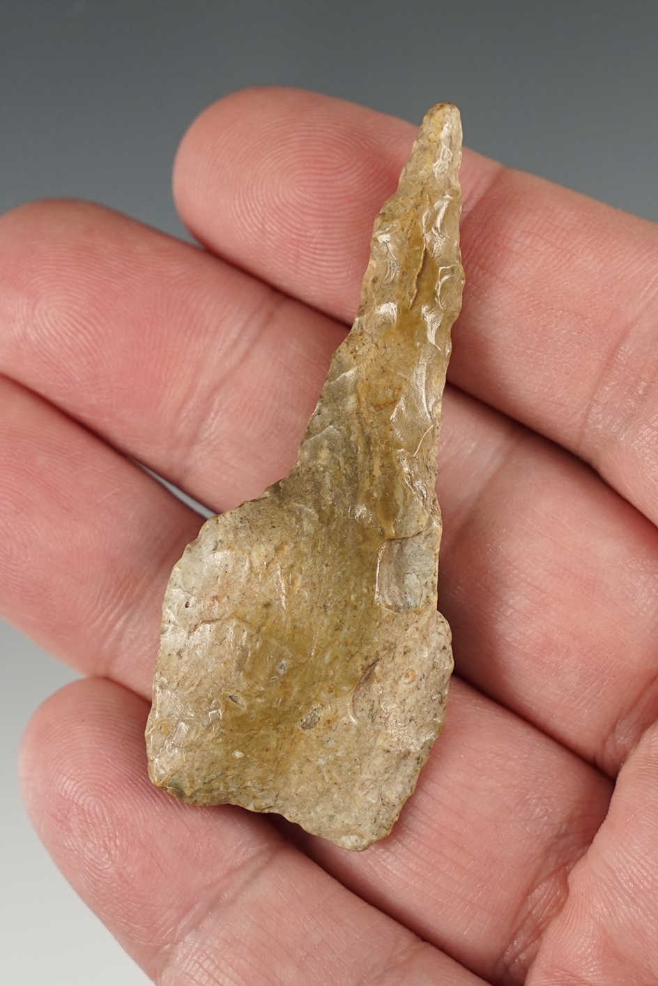 2 9/16" Paleo Drill found in Oklahoma.