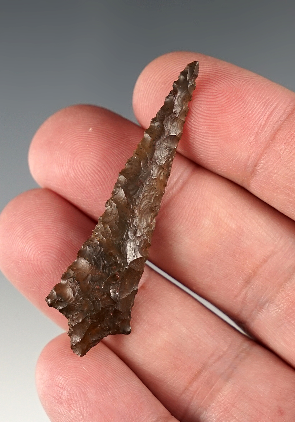 Exceptional 2 1/8" Rabbit Island.