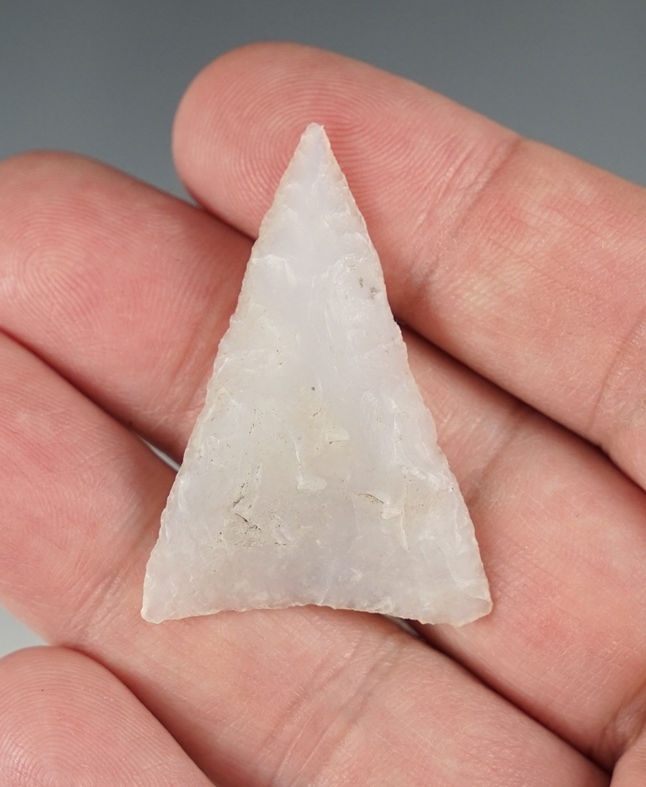 1 11/16" Tortugas, Luna Agate - New Mexico.