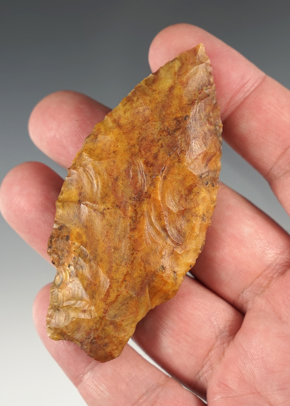 3 1/4" Stemmed Knife found in Southern Georgia.