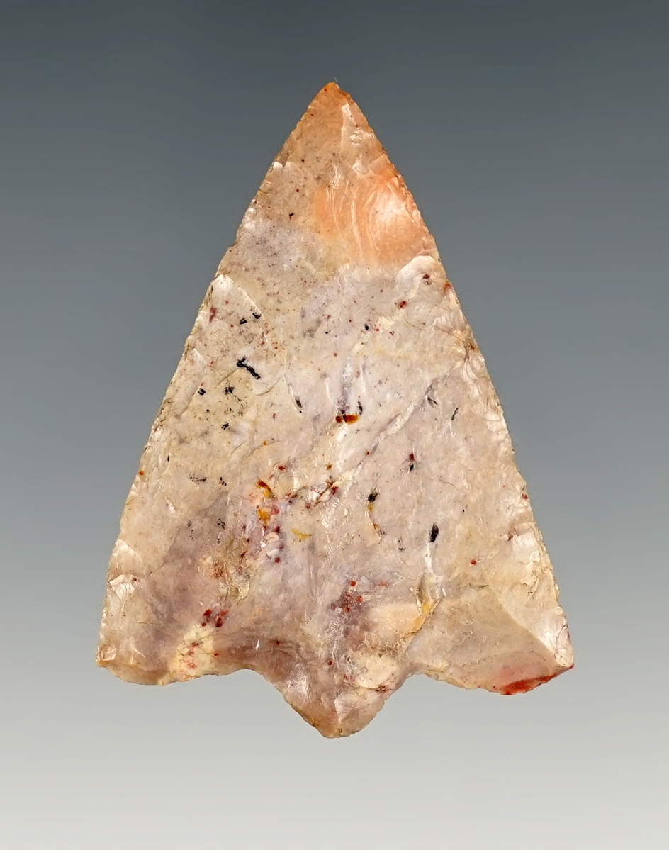 1 11/16" Hillsborough - Pinellas Co., Florida.