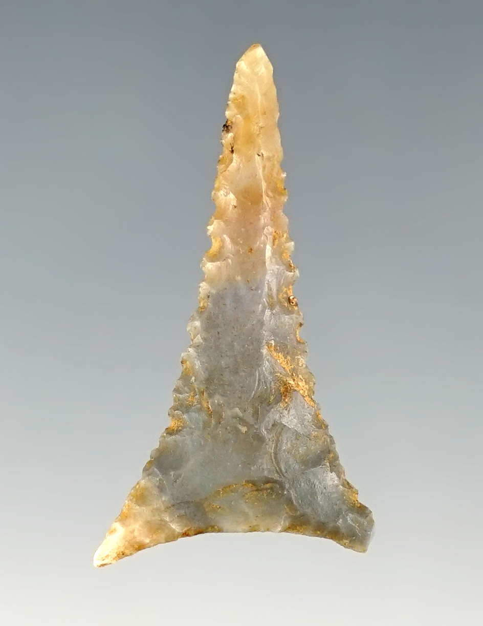 Nice 1 5/16" Hamilton - Tennessee. Ex. Tom Davis.