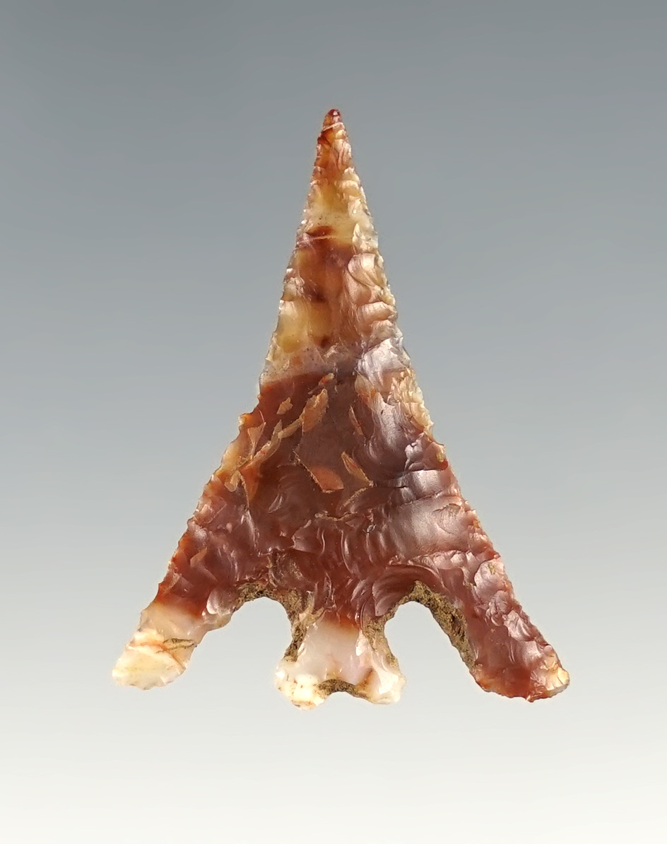 1 1/4" Columbia Plateau with large wings.