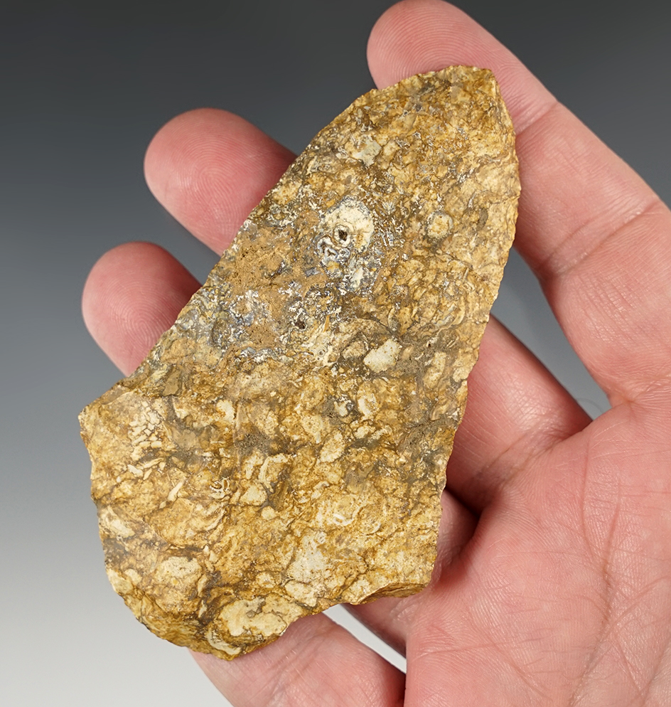 3 7/8" Stemmed Knife found in Southern Georgia.