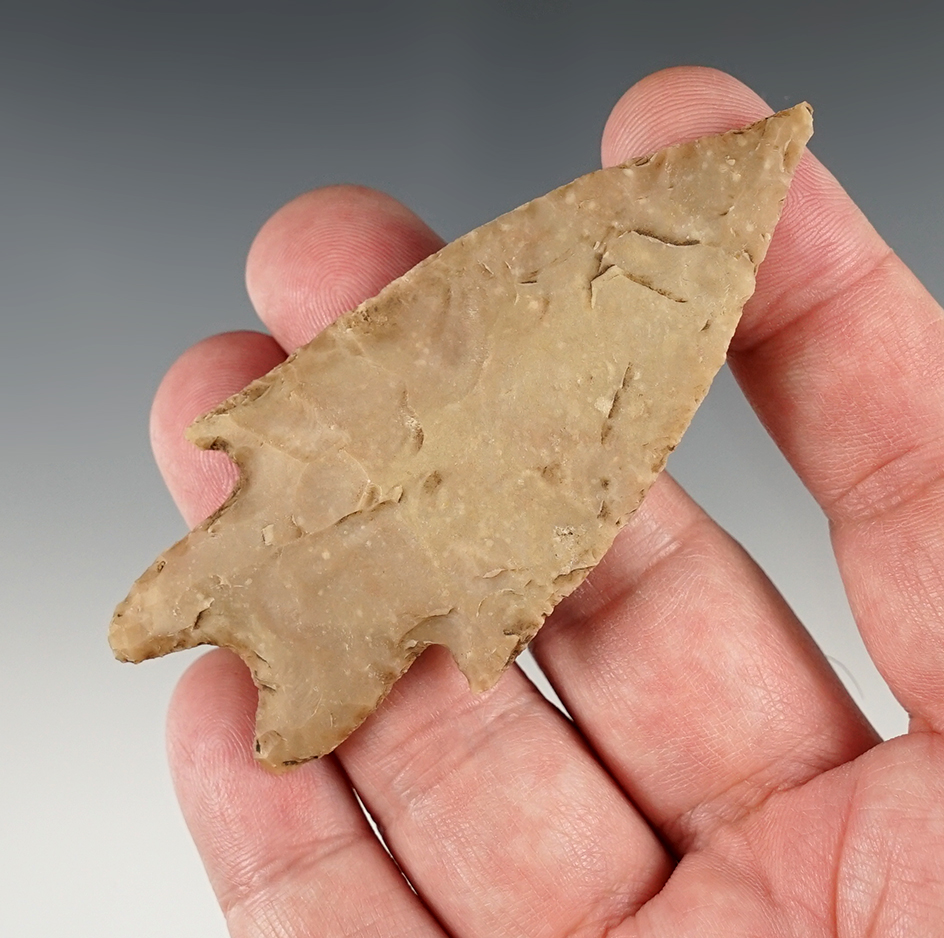 Finely made 3 5/16" Pedernales - Texas. Arnold COA.