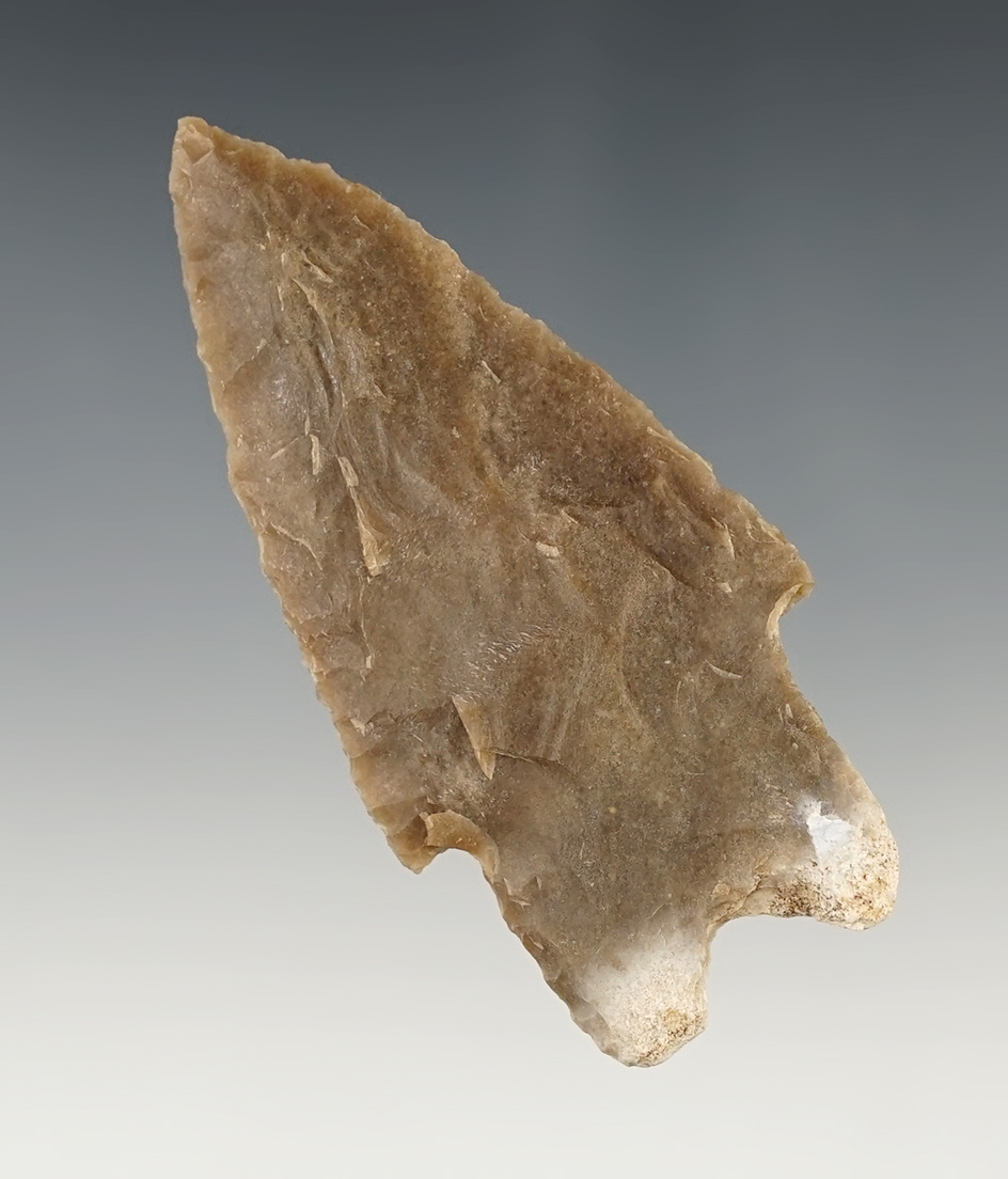 Fine 3 3/16" Pedernales - Texas. Bill Arnold COA.