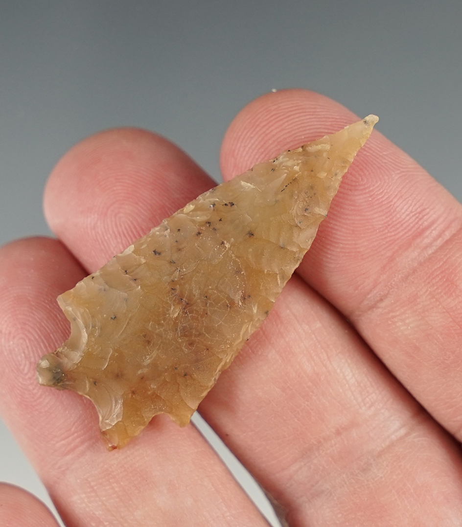 Very impressive 1 15/16" Oxbow - Wyoming. COA.