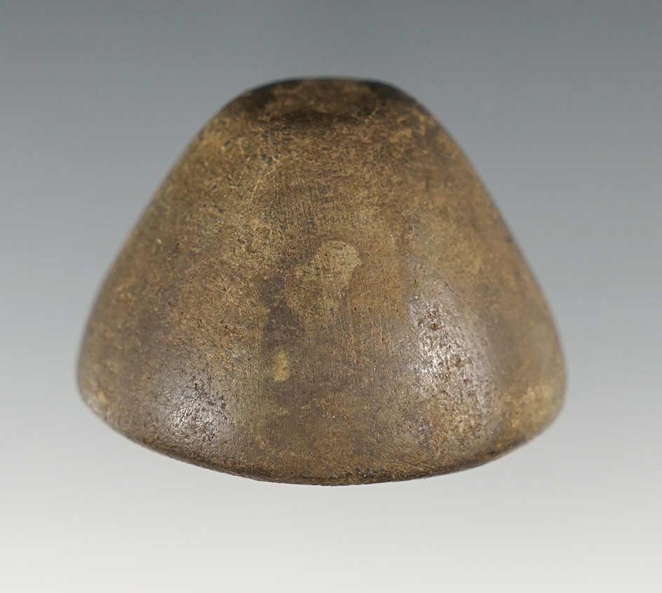 1 3/4" wide polished Cone found in Lee Co., Virginia.