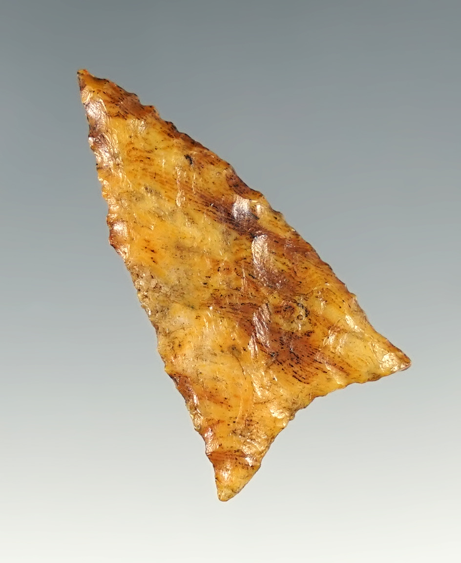 1 9/16" Santa Fe - Florida.