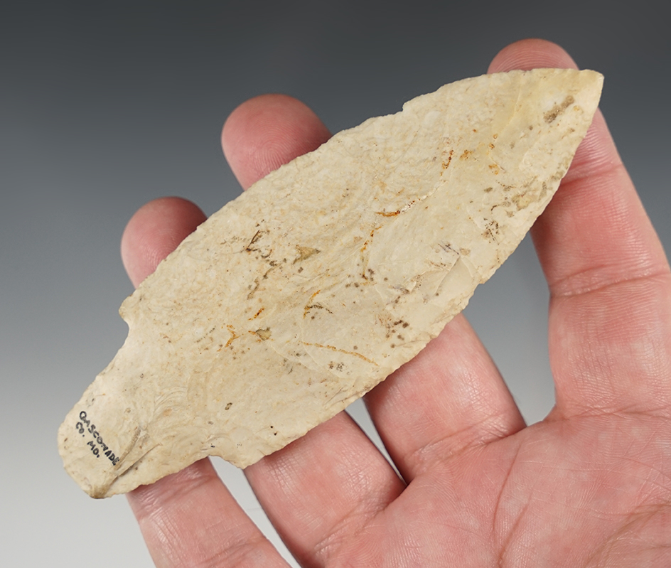Large, 4 11/16" Adena point - Gasconade Co., MO.