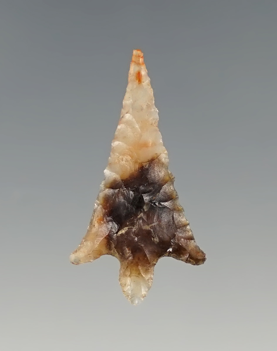 Outstanding 1 1/16" Rabbit Island -  Col. River area.