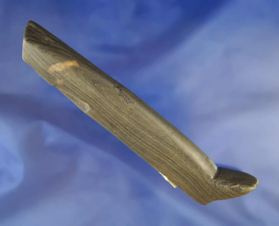 Ex. Wachtel! 5 3/8" Banded Slate Birdstone - engraved. Found in Indiana Co., PA. Pictured.