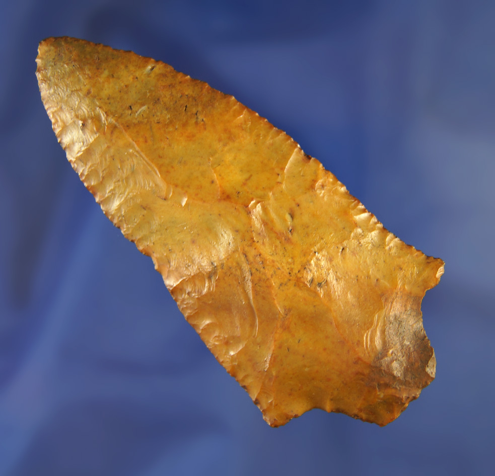 3 11/16" found near the Santa Fe River, Alachua Co.,  Florida. Ex. Robert E. Barr, Len Weidner.