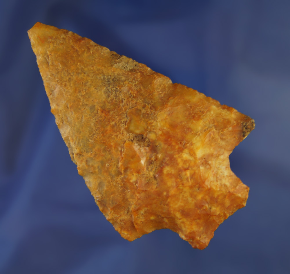 3 1/2" Agatized Coral  found near the Santa Fe River, Alachua Co.,  Florida. Ex. Robert E. Barr