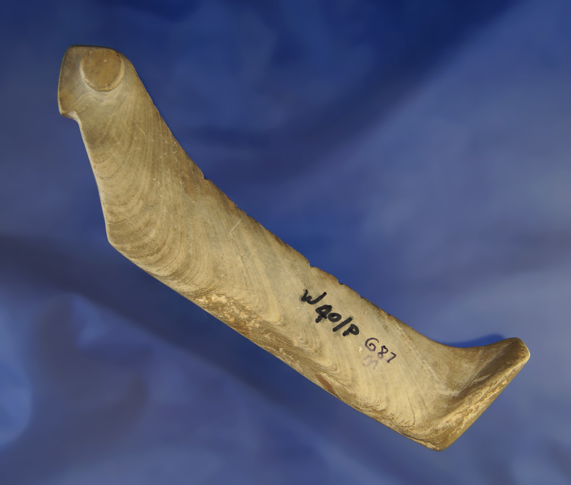 Sale Highlight! Pictured! 5 1/8" Popeyed Slate Birdstone found in Pine Twp., Crawford Co., PA