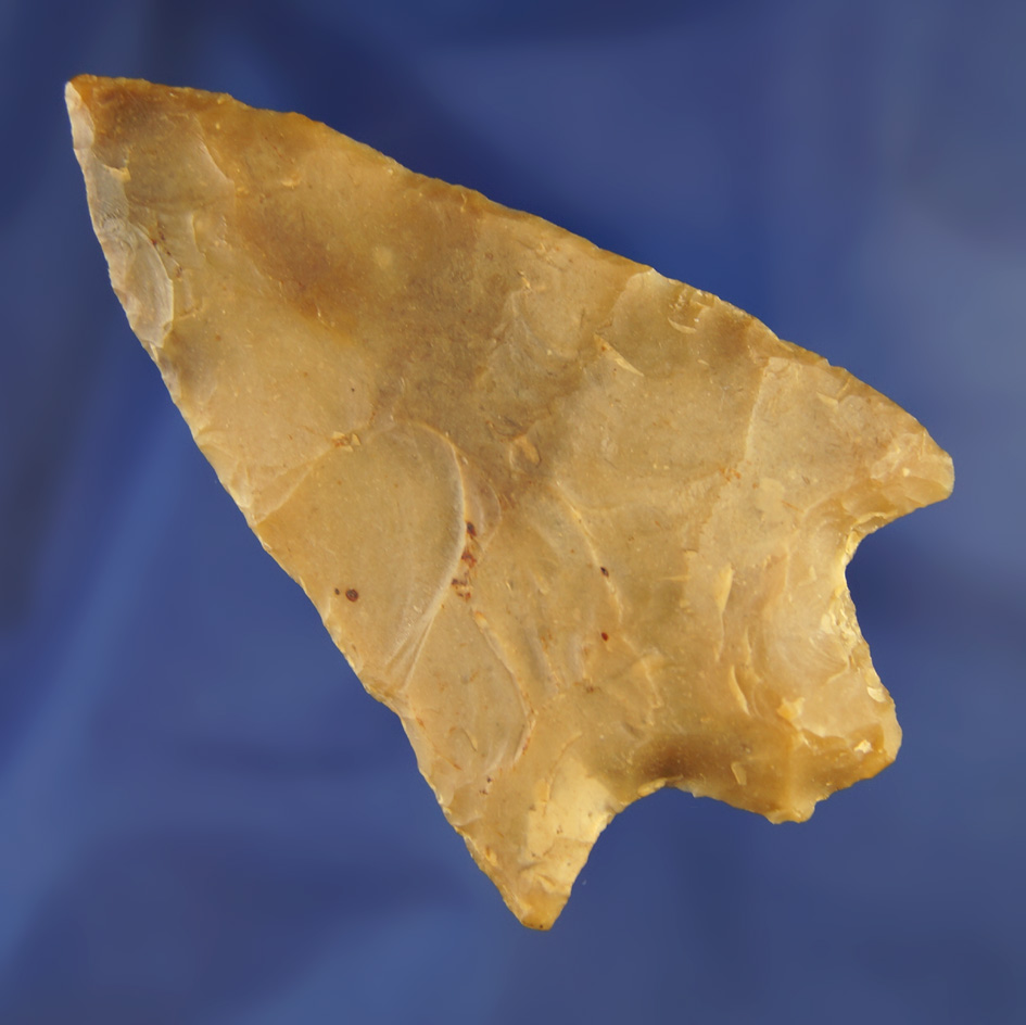 3 7/16" Pascoe Co.,  Florida. Ex. Robert E. Barr, Len Weidner. Pictured in Who's Who #3, page 32.