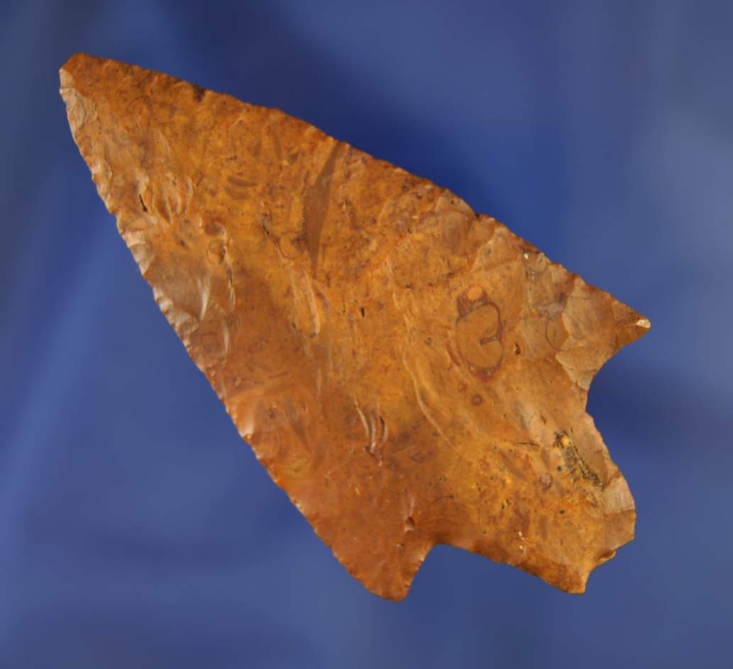 3" nicely flaked found near the Santa Fe River, Alachua Co.,  Florida. Ex. Robert E. Barr